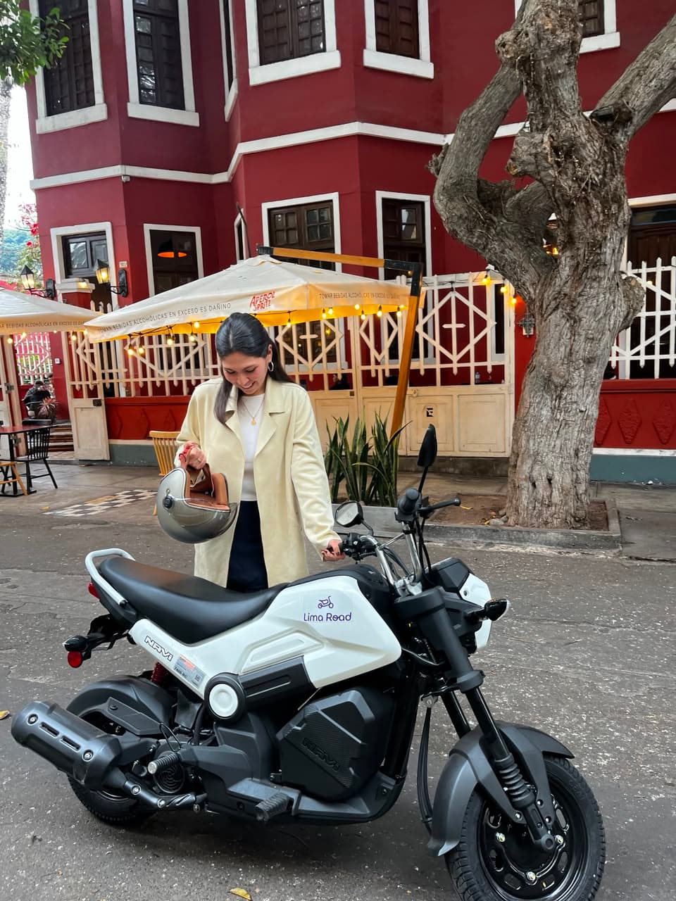 Honda Navi foto 3
